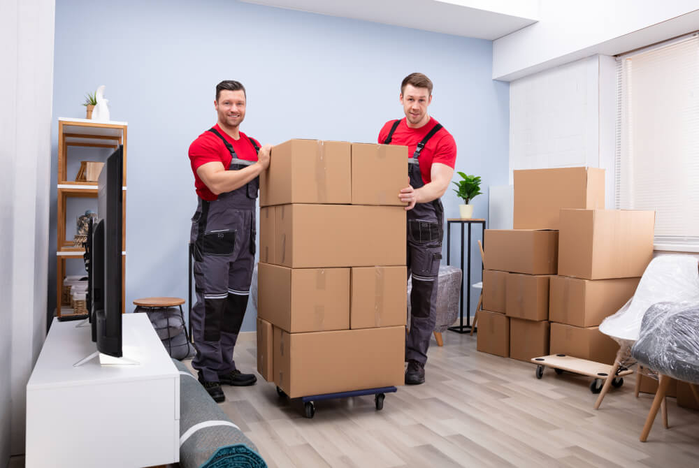 Climate-Controlled Storage Options For Moving Clients