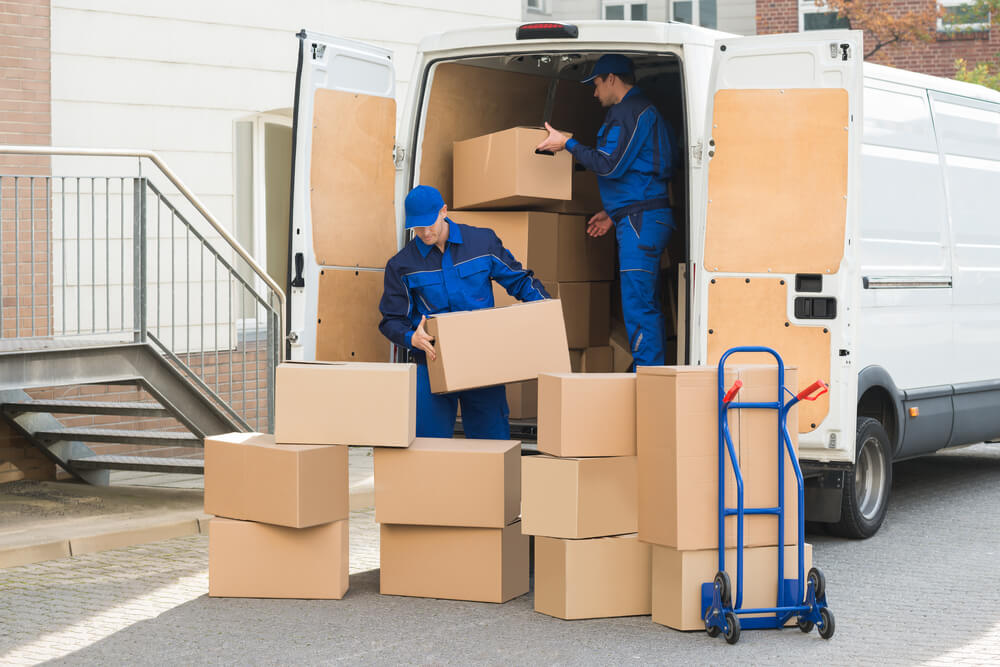 Professional movers Tamarac